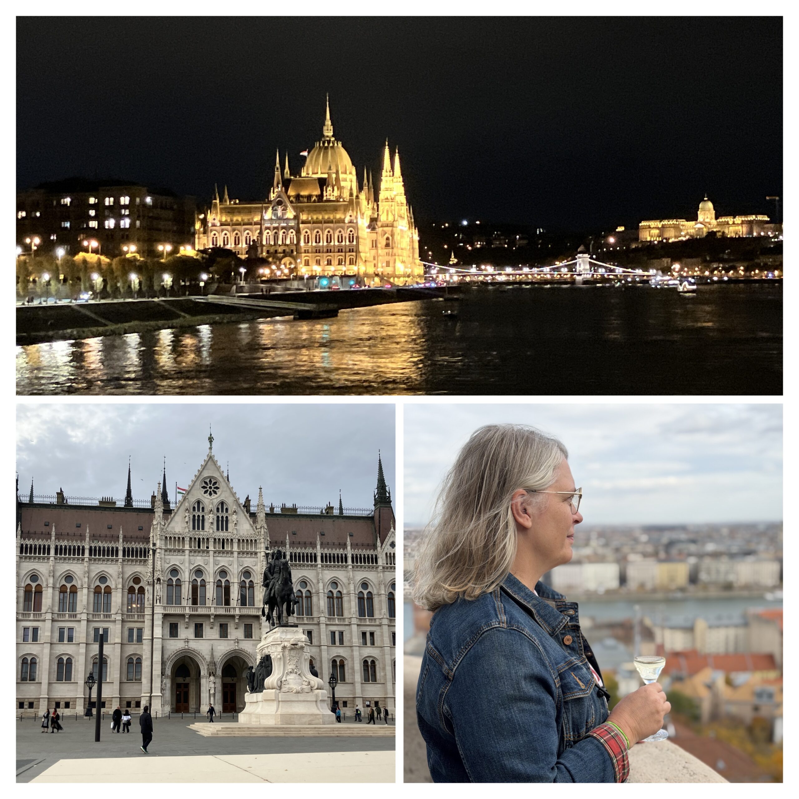 River Cruise 2025
Budapest at night, House of Parliament, and looking out from Fisherman’s Bastion